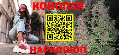 мет Кингисепп