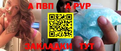 мет Кингисепп