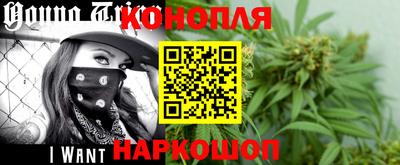 мет Кингисепп