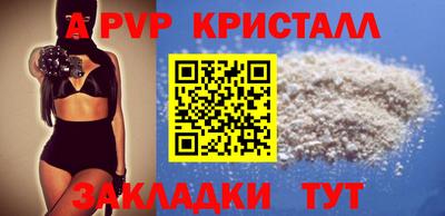 мет Кингисепп