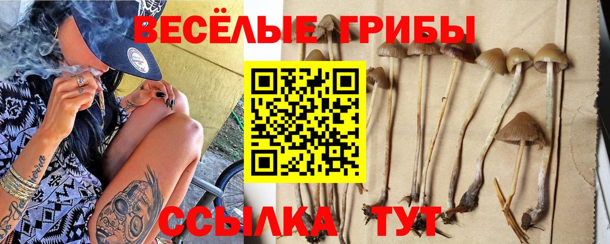 Псилоцибиновые грибы Magic Shrooms Дзержинск