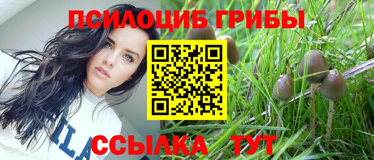 Дзержинск  Галлюциногенные грибы ЛСД  Вход с VPN  Псилоцибиновые грибы мухоморы 